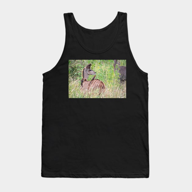 Kudu calf Tank Top by Ludwig Wagner